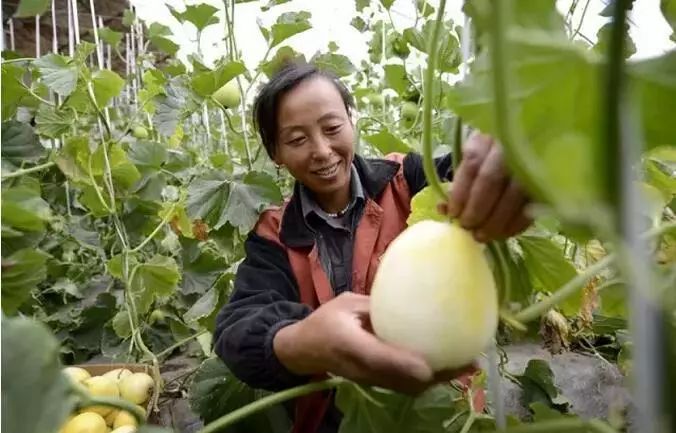 内蒙古有这么多特色之乡,内蒙古长调之乡