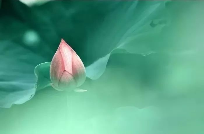 中医养生音乐十大名曲,中医五行养生音乐曲目