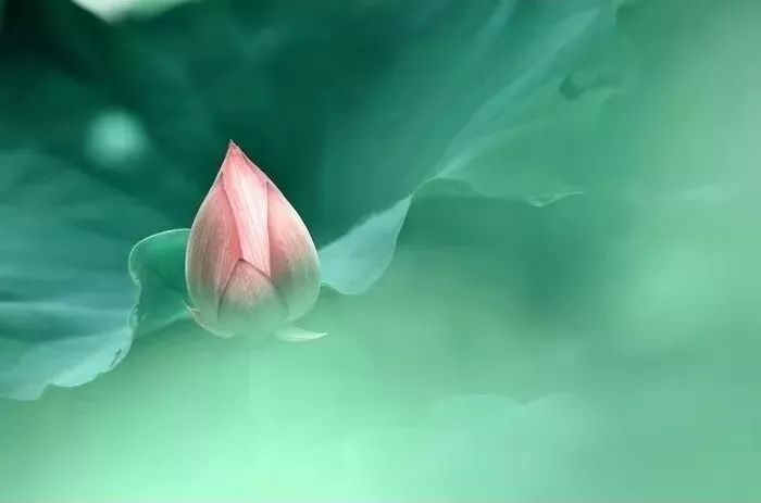 中医养生音乐十大名曲,中医五行养生音乐曲目