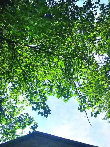 倾诉|儿子婚房悬而未决，我有点急火攻心