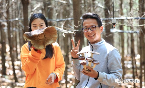 弥勒美食必吃推荐,云南弥勒美食野生菌