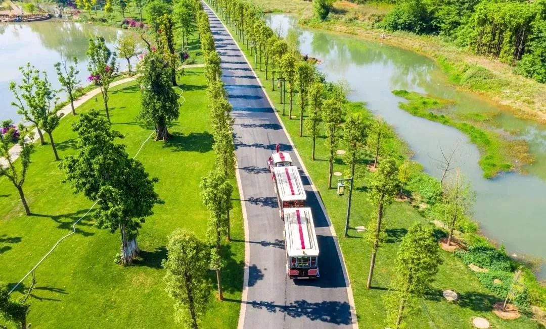 弥勒美食必吃推荐,云南弥勒美食野生菌