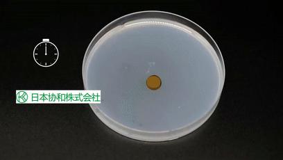 小编推荐一些健康食物,溶栓降脂吃什么好