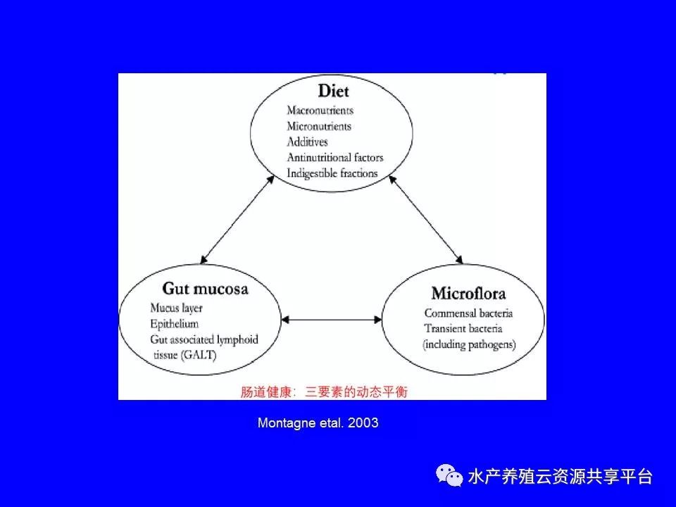 工厂化养殖南美白对虾技术详解,工厂化南美白对虾养殖全过程
