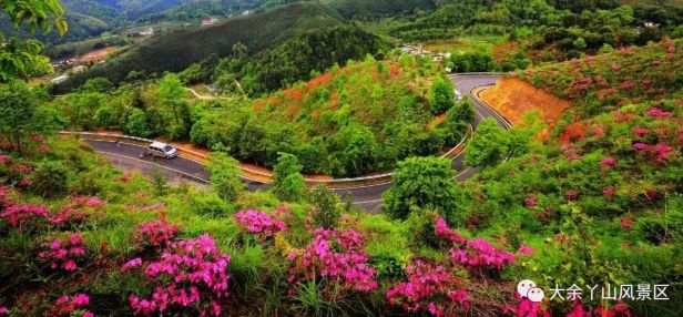 江西丫山景区视频,江西丫山风景区门票