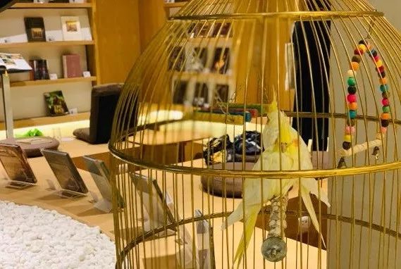 必去的茶馆推荐,上海古色古香茶馆推荐