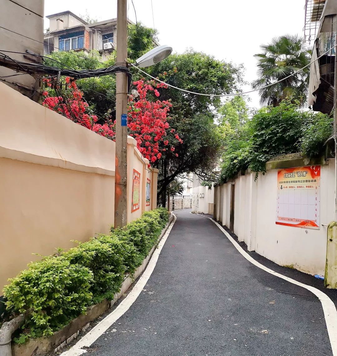 5月の小日子|618买啥、午餐便当、赣州小吃、考霸老弟