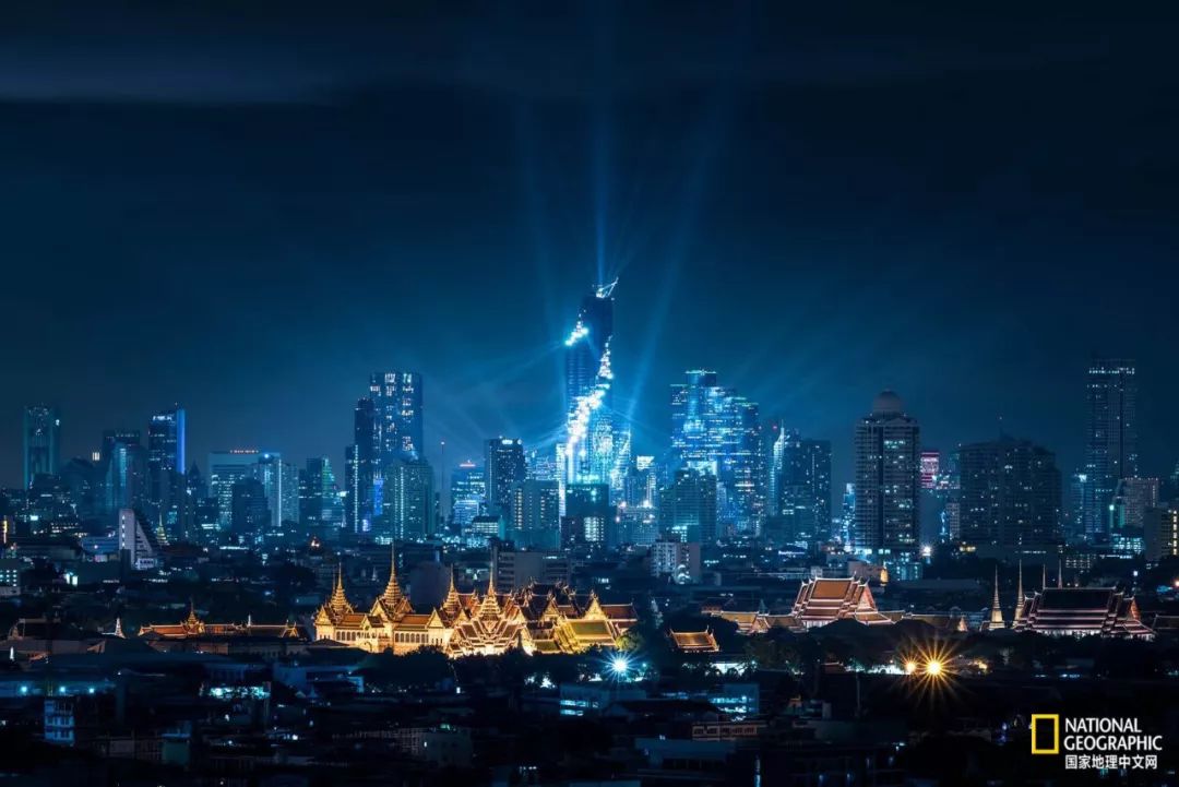 濒临灭绝的野生动物表演,动物表演的背后有多残忍