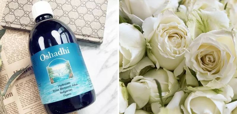 涓庣埍璞嗙殑浜插瘑浜掑姩,鍜岀埍璞嗕簰鍔ㄧ殑鐢滆湝鐬棿