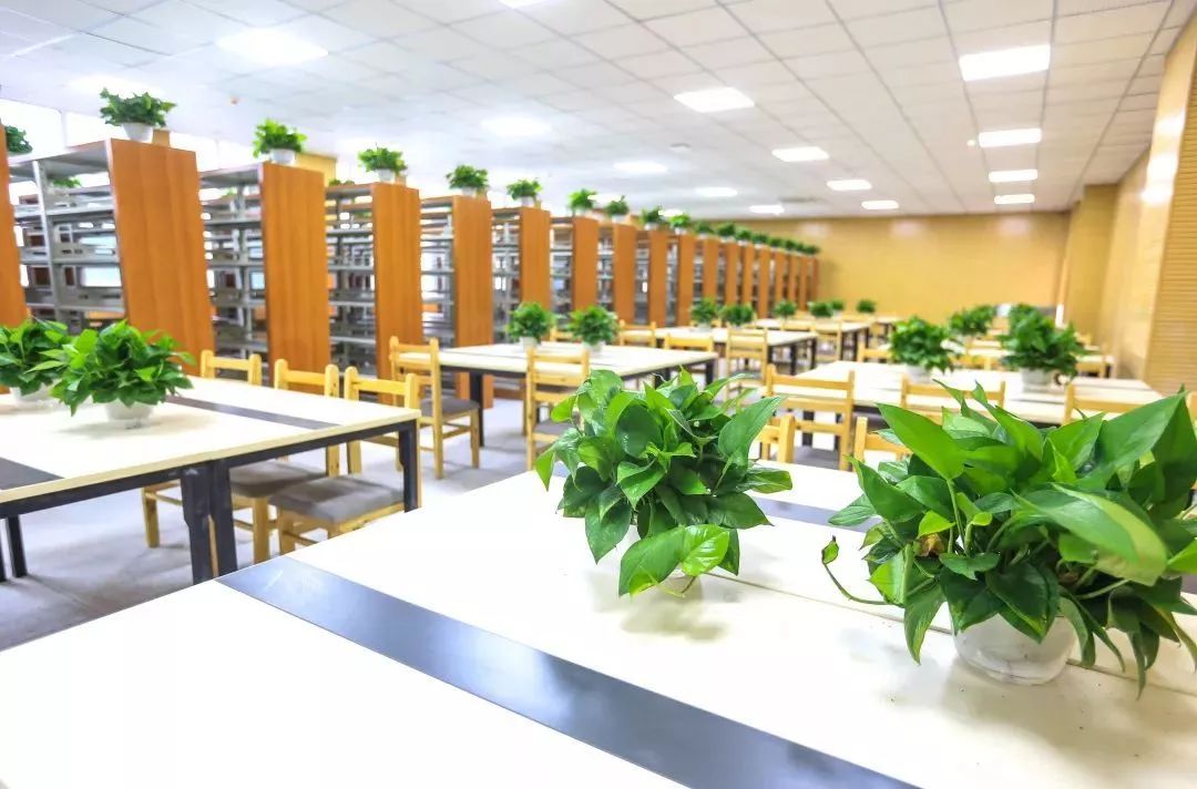 成实外雅安校区为什么选择直升,成实外学校雅安校区费用