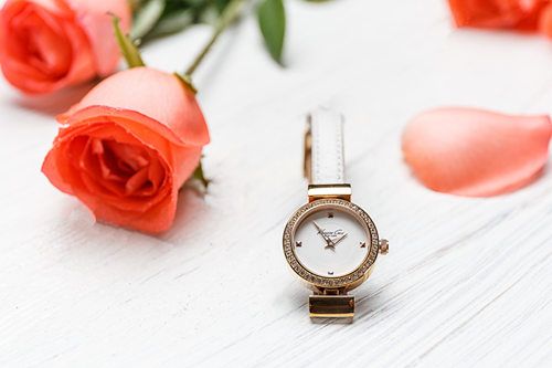 女士手表品牌排行榜前十名是哪些,女士手表品牌排行榜前十名图片