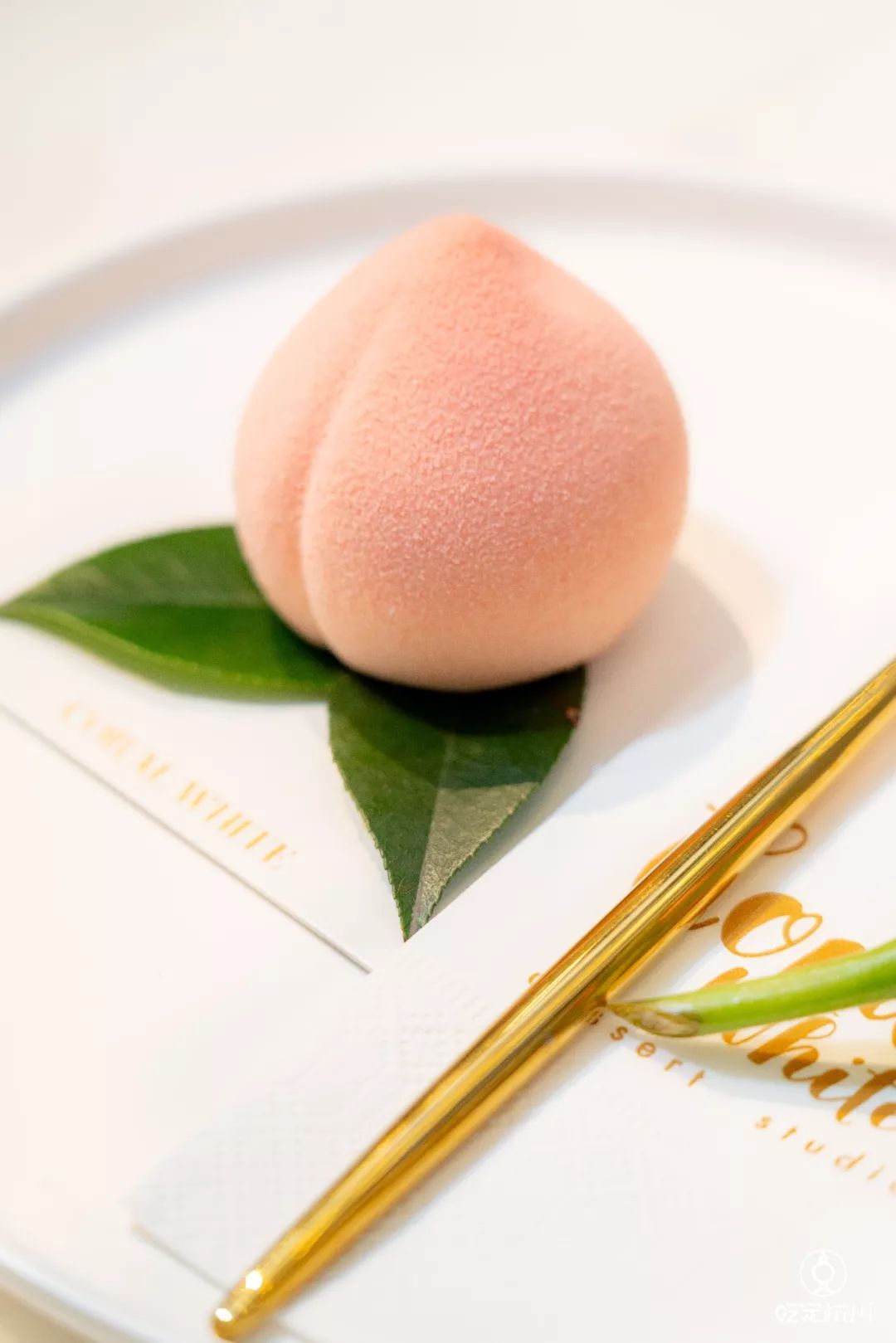 婢虫床妫灄椁愬巺,brunch缃戠孩椁愬巺