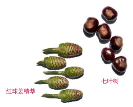 揭秘|弘叔悄悄话：吃了防腐剂般的美貌都是这么来的