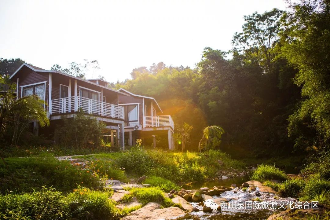 贵港周边网红打卡地一日游,贵港旅游团网红打卡景点