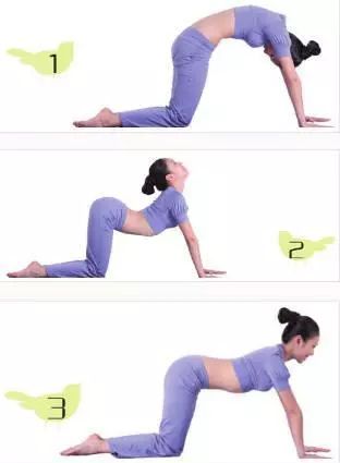 产后瑜伽修复盆底肌减肚子,瑜伽产后修复的十大坑