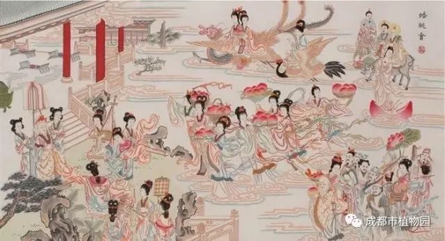 红桃子,红桃子成熟季节