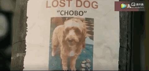 我终于战胜了抑郁症,感谢医生治好了抑郁症