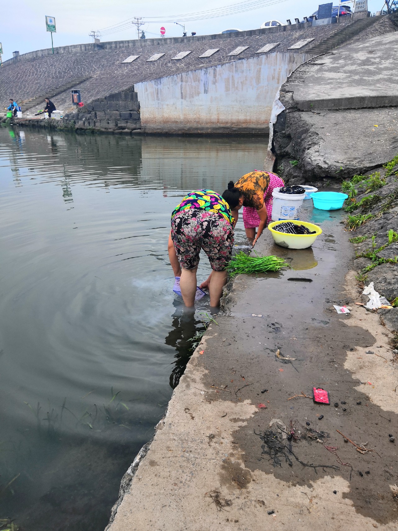 首钓笤溪钓位全靠枪逛拉逆鱼兼钓获多鱼种~