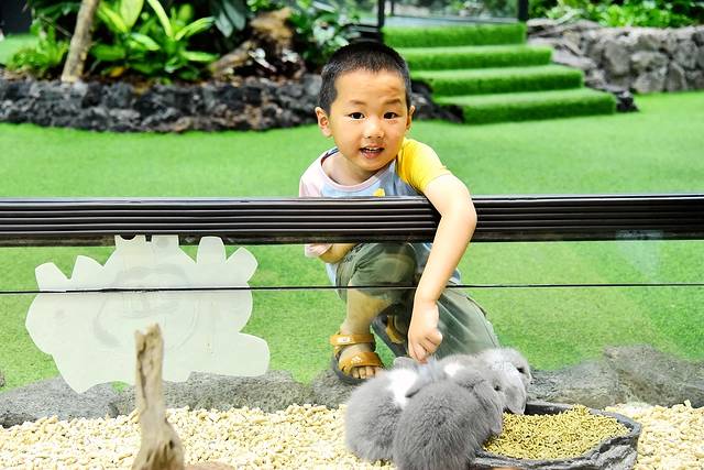 厦门最值得带孩子去玩的景点,带孩子厦门室内旅游景点推荐