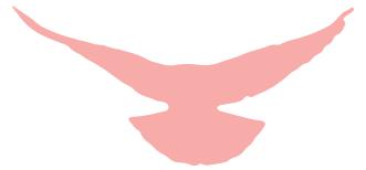 招聘来了,大批招聘岗位来袭你准备好了吗