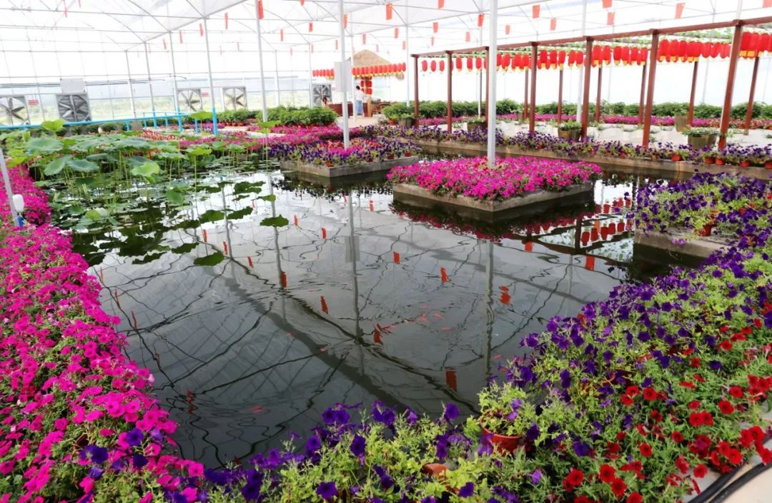 徐州邳州日报,邳州新闻资讯