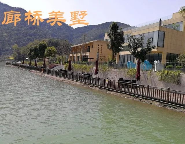 长阳城,长阳向阳花开