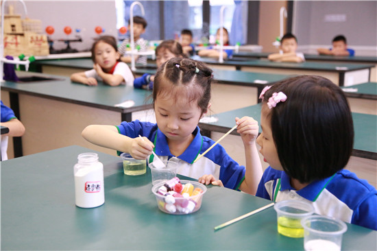 雅安天立小学学科素养,雅安天立小学成绩