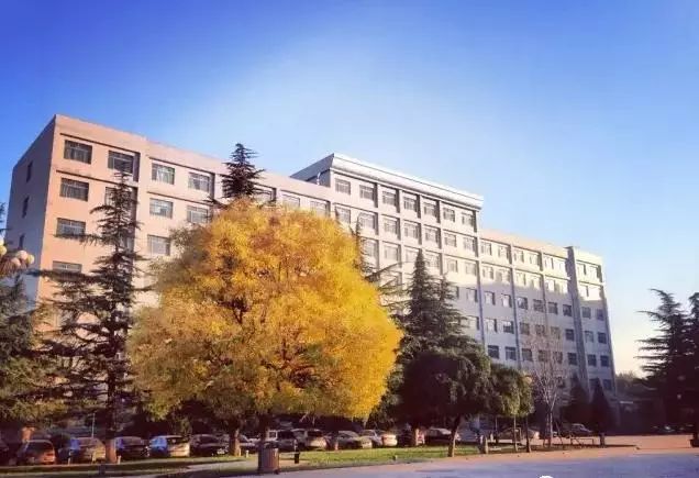 招7000人|选择山东财经大学的10个理由