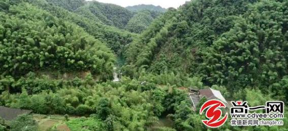 夏至已至酷暑难耐,夏至已到天气炎热