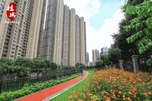 夏至到来大明湖荷花,夏至来了荷花又开放啦