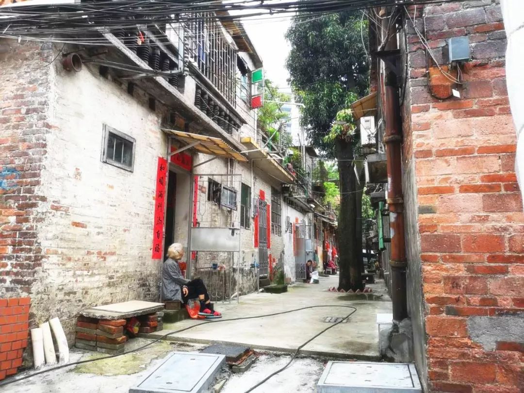 不再水浸、拐角见绿…藏在这里的旧时光与烟火气，更加绚丽