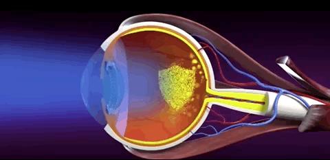 阔别演艺圈身价翻4倍，10亿俱乐部又添新成员？