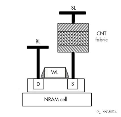 存储器存什么信息,存储器以什么数据形式存储