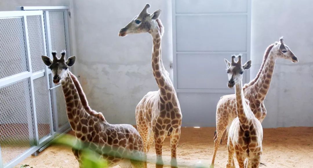 六月光影,六月湖州景色