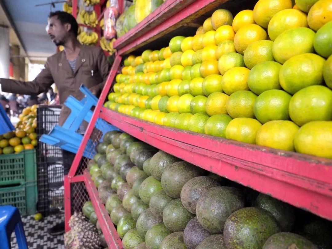 牛油果健康骗局,健康牛油果