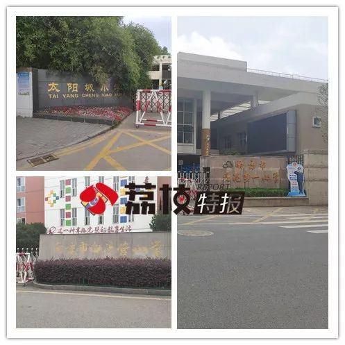 如何检测大米镉超标,南京一学校大米有镉