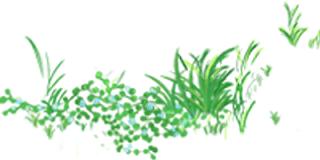 杨春湖社区足球场,洪山区武汉足球主题公园