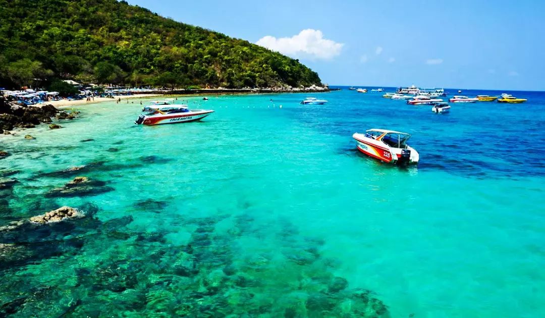 10月29号机票天津飞哪里便宜,天津出发十一月的特价机票