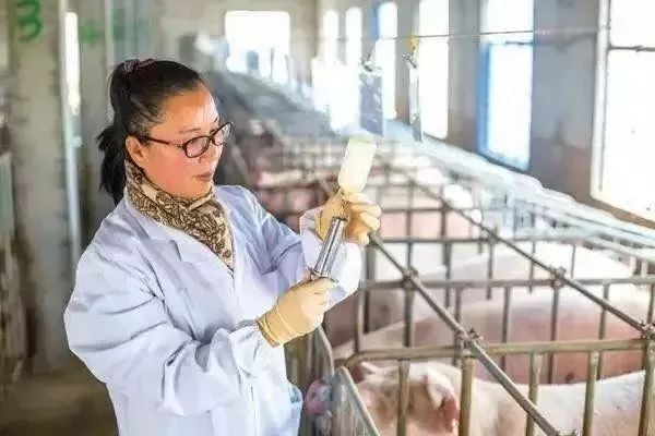 习*平近**总书记点赞的“人民满意的公务员”，有哪些*党**派成员？