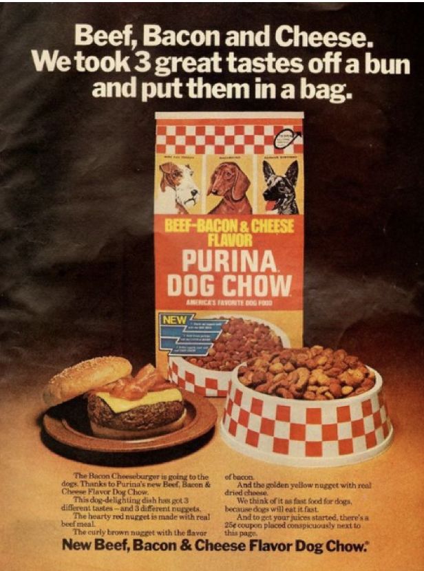 狗粮的历史来历,狗粮发展史大全