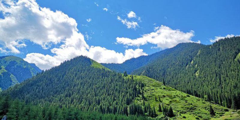 【*疆新**是个好地方·达人西游第6季】精河的美，你想象不到！