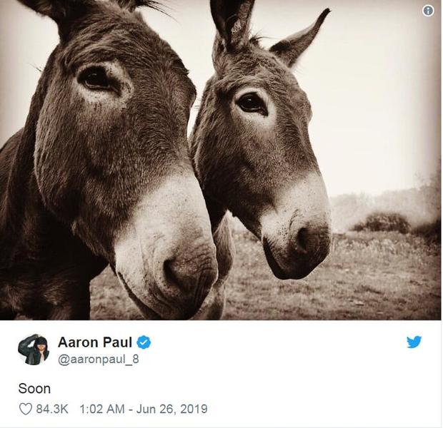 老白与小粉发推配图俩驴：快了