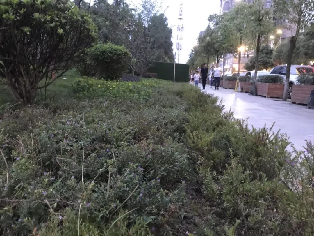 郧阳区滨江公园龙舟广场,郧阳滨江公园龙舟广场