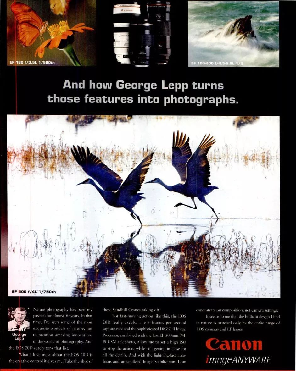 单反时代终结,单反是不是要淘汰了