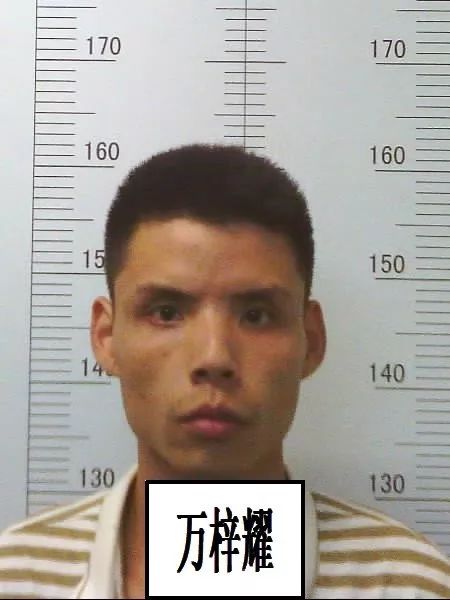 王蕾涉黑案公审判决,关于公开征集涉黑涉恶