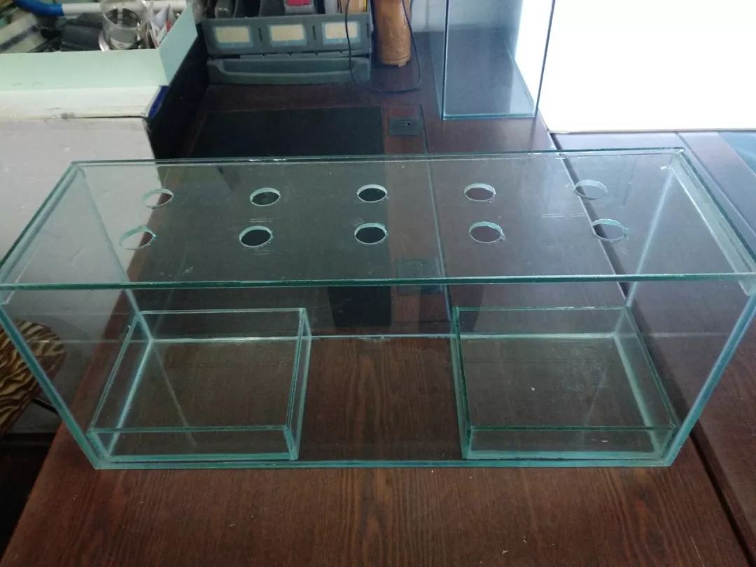 大神「鱼勇」DIY一缸多用“直播”教程，好缸无需再等