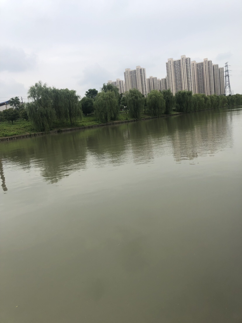 风大浪大好钓海鱼吗,风大浪大钓底还是钓浮