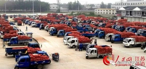 今天，人民网聚焦邳州：小蒜头撬动百亿级大产业