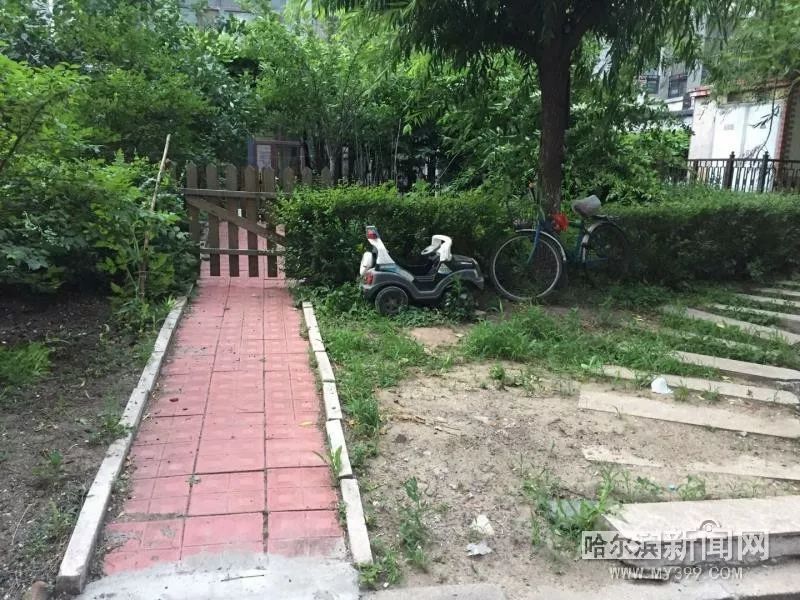 泰富长安城公共绿地被连片侵占丨举报36类”闹心事“#让陈年”烂账“见光死#