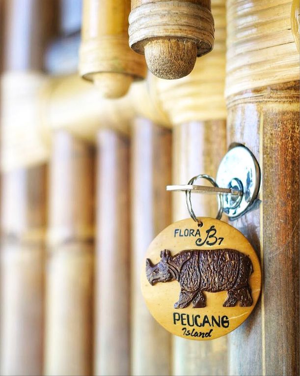 挖到一座免签直飞的超冷门海岛！火山浮潜摸小鹿，好玩秒杀巴厘岛